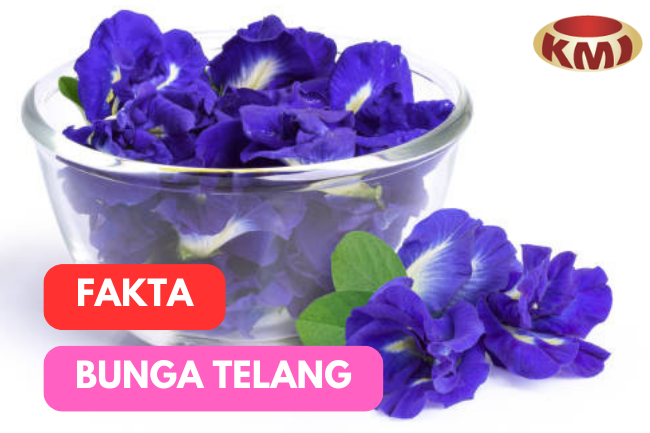  Bunga Telang: Warna Cantik dan Khasiat Kesehatan yang Menakjubkan